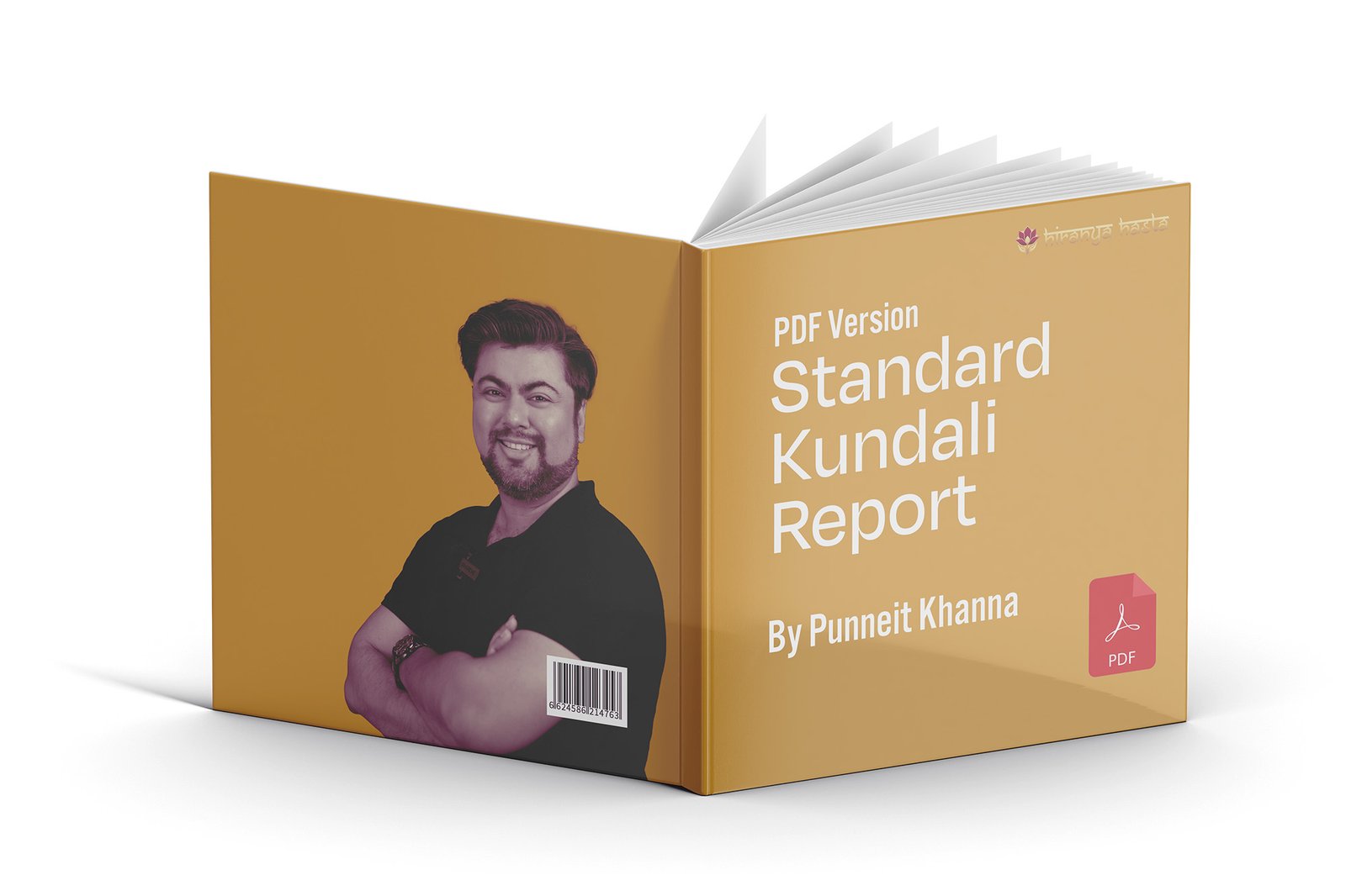 standard kundali report banner